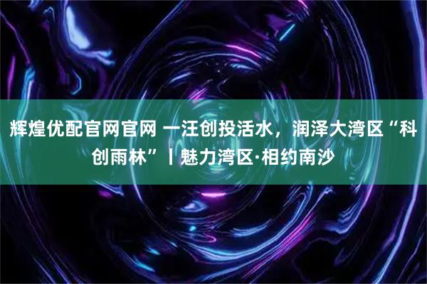 辉煌优配官网官网 一汪创投活水，润泽大湾区“科创雨林”丨魅力湾区·相约南沙