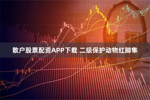 散户股票配资APP下载 二级保护动物红脚隼