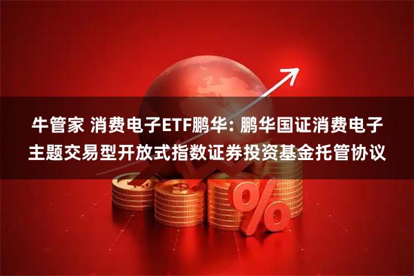 牛管家 消费电子ETF鹏华: 鹏华国证消费电子主题交易型开放式指数证券投资基金托管协议
